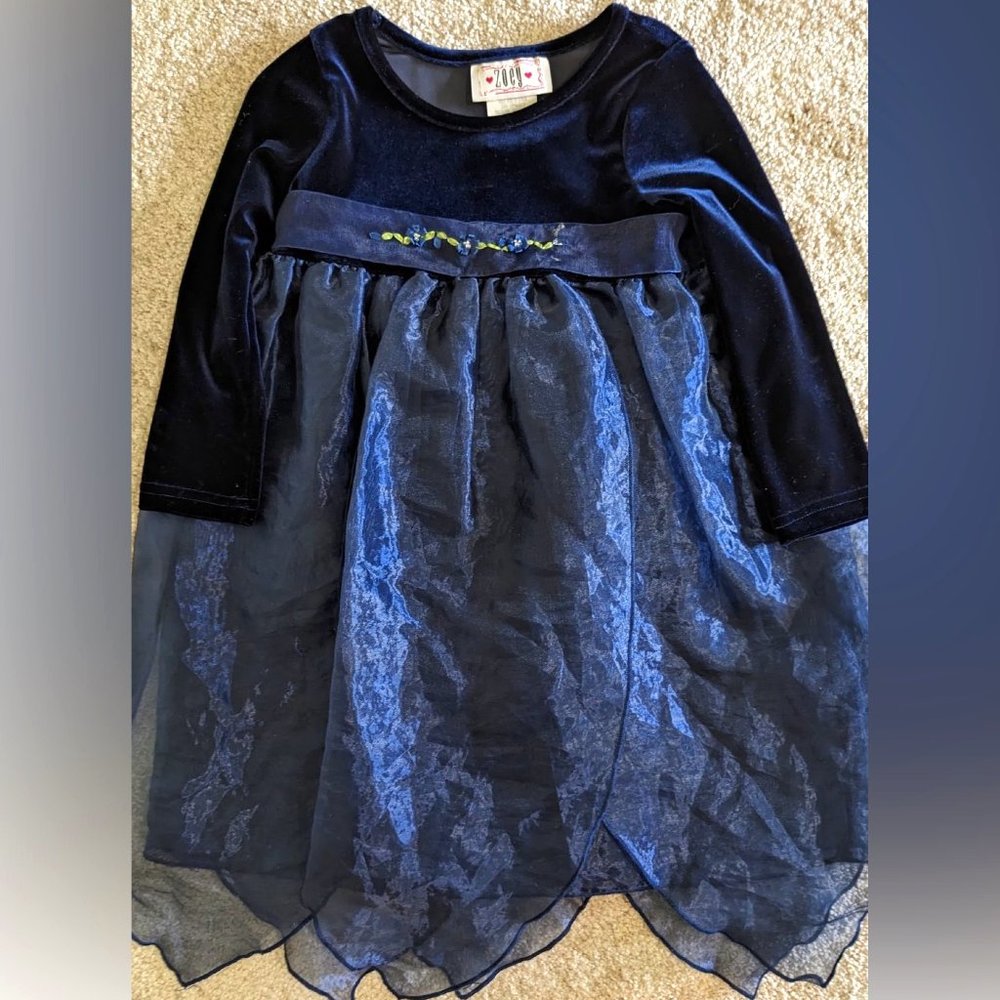 Zoey Girl's Empire Style Velvet and Petal Party Dress, Size 4